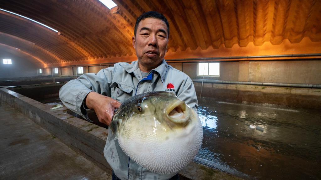 1129184748_16702267121841n 1129184748_16702267121841n