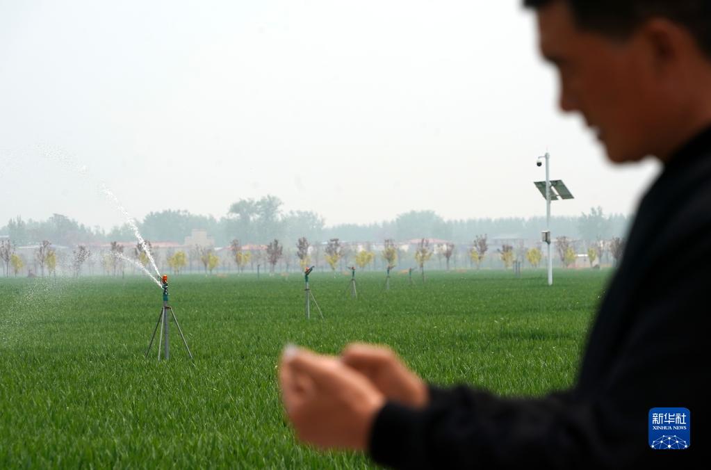 1129185685_16702513820161n 1129185685_16702513820161n