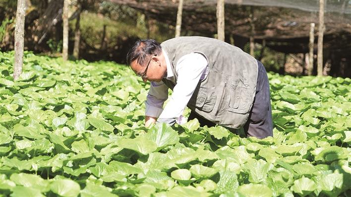 微信图片_20221206173027