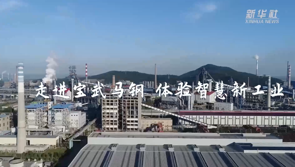 1129187498_16703284869311n