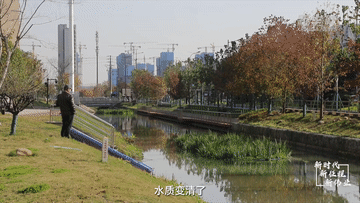 1129190450_16704142406091n