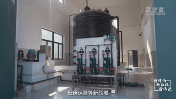 1129190450_16704142406161n