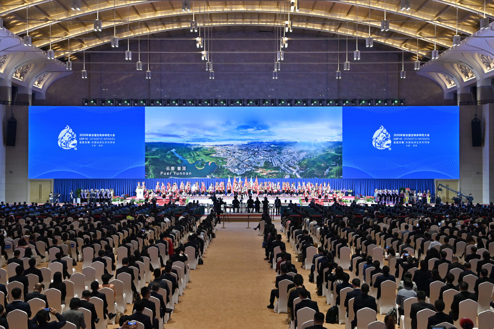 XxjinmC007001_20221208_CBMFN0A001