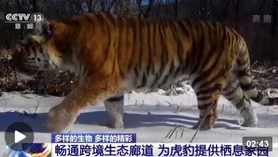 企业微信截图_16705539489579