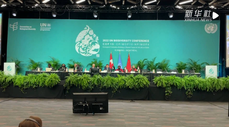 企业微信截图_16705668925637