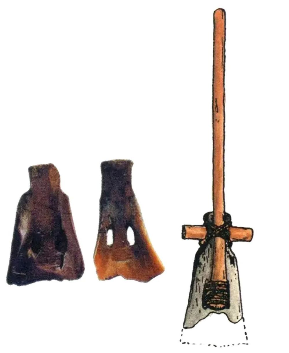 文物talkshow|河姆渡骨耜:中华先民是世界稻作农业的发明者_昆明信息