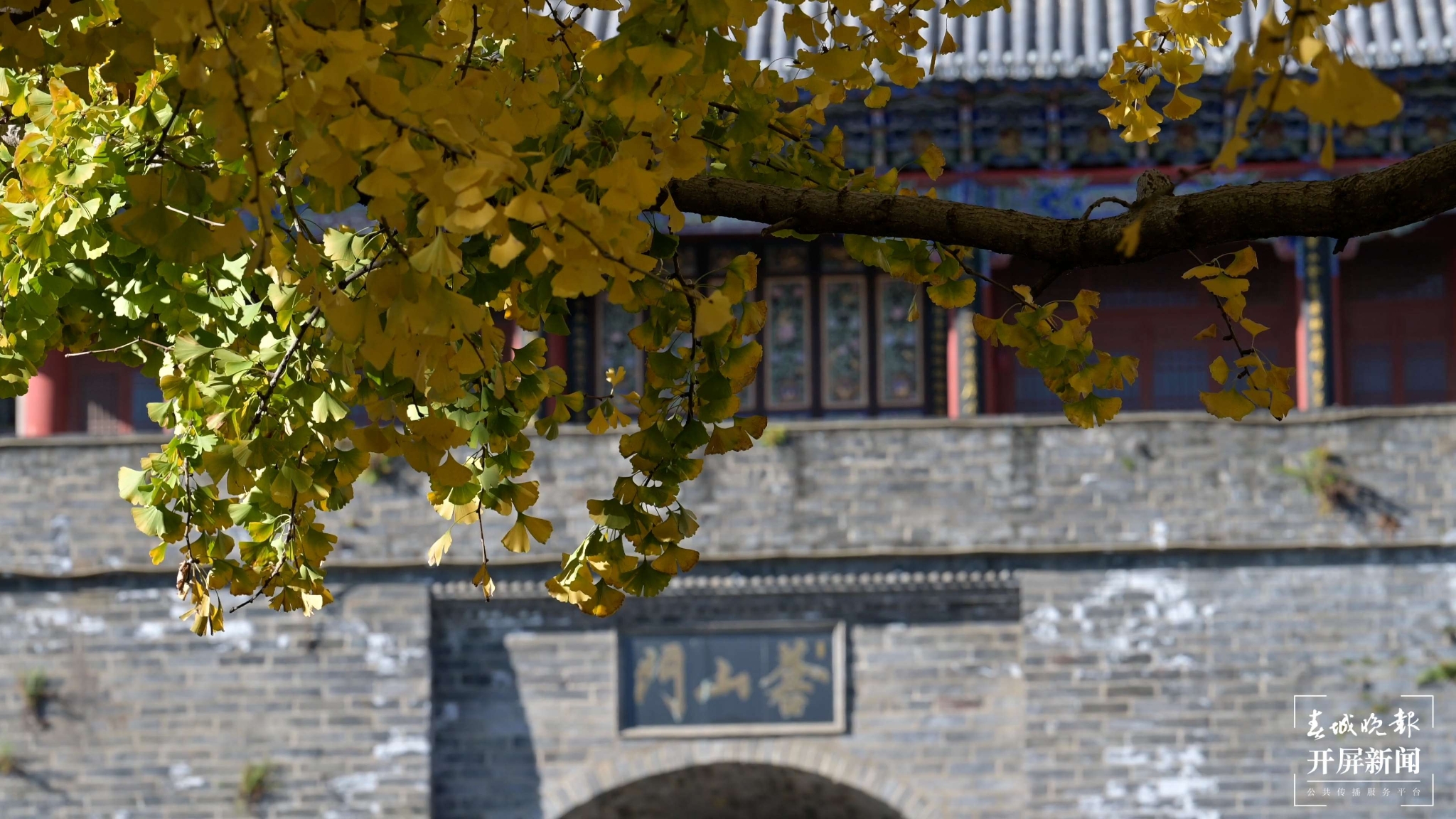 听说大理古城冬日的浪漫，一半被这条路包揽~ (8).jpg