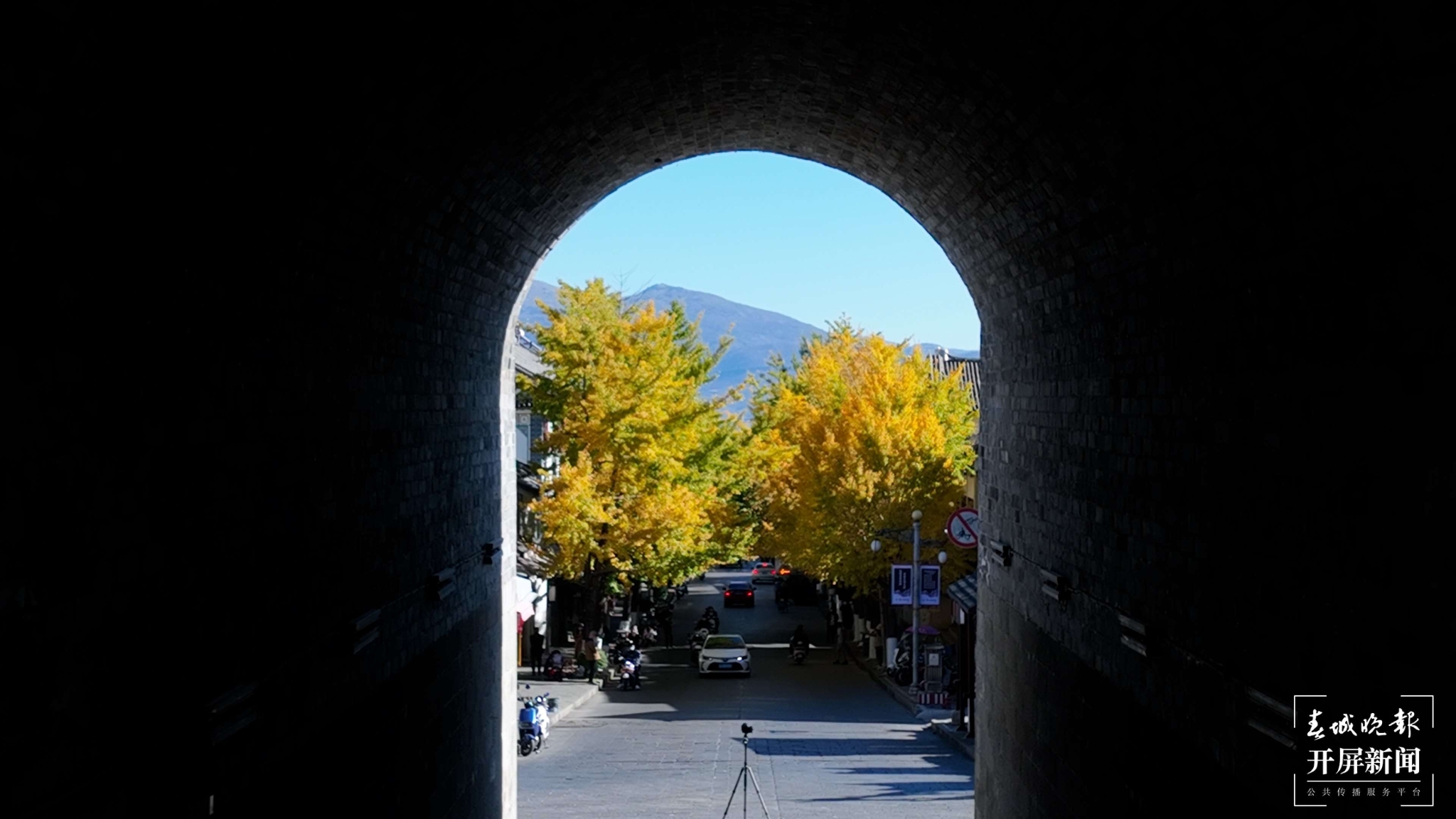 听说大理古城冬日的浪漫，一半被这条路包揽~ (9).jpg