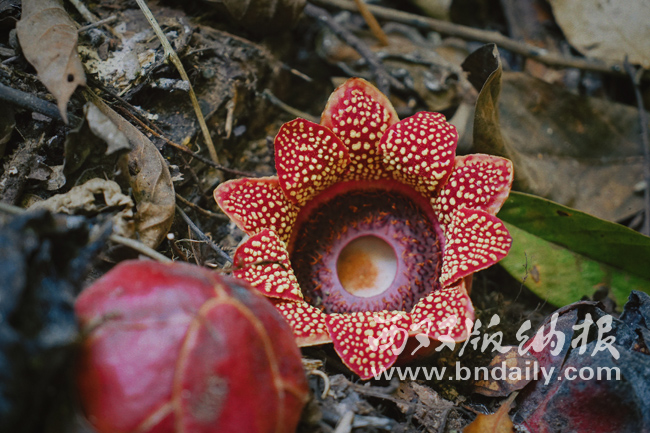 1213-02SZZH-009-373417-原文件 1213-02SZZH-009-373417-原文件