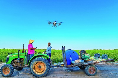 扎根大漠 逐梦棉田 扎根大漠 逐梦棉田