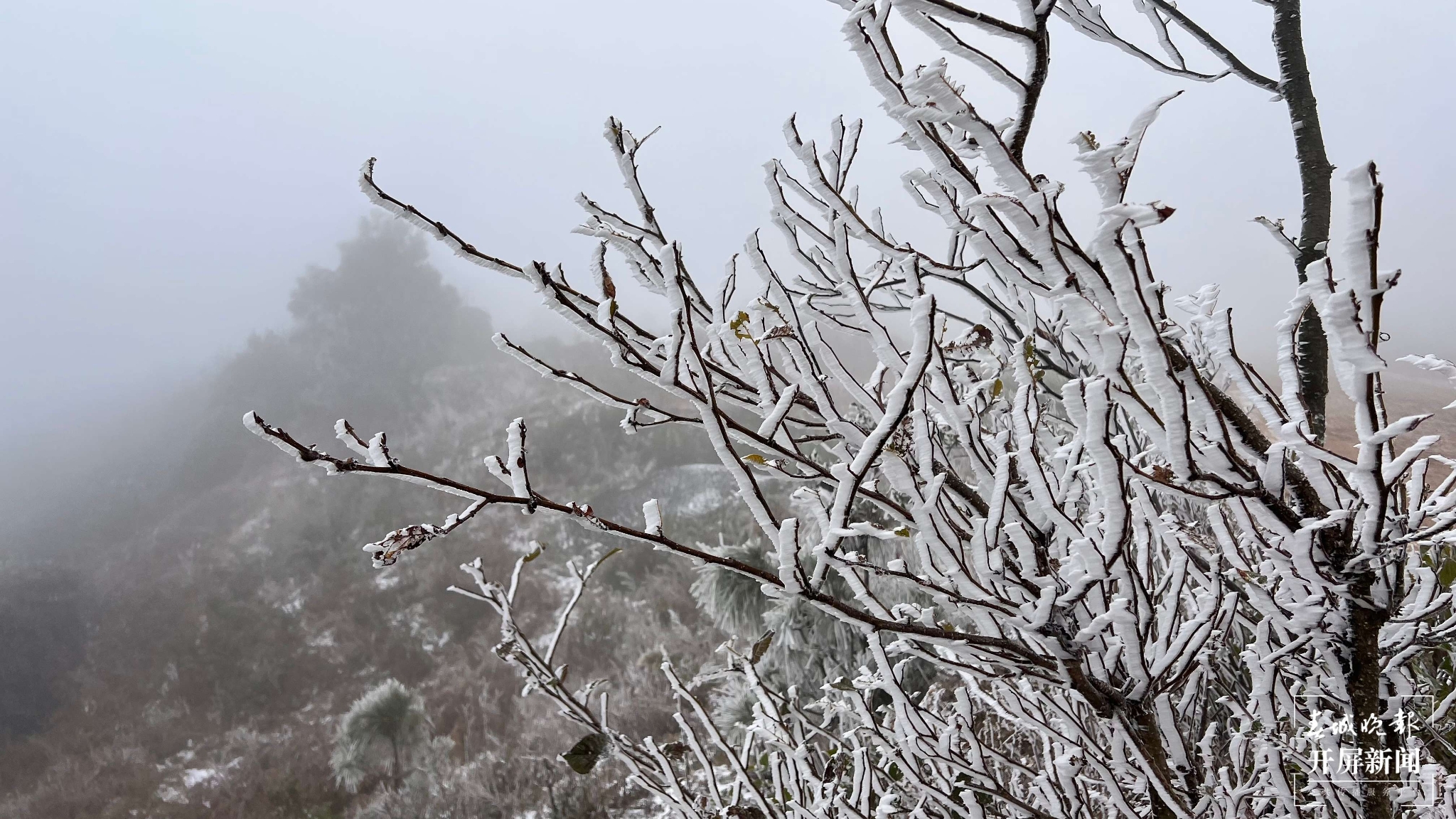 者磨山雾凇奇观，惊艳大理冬日时光！ (14).jpg
