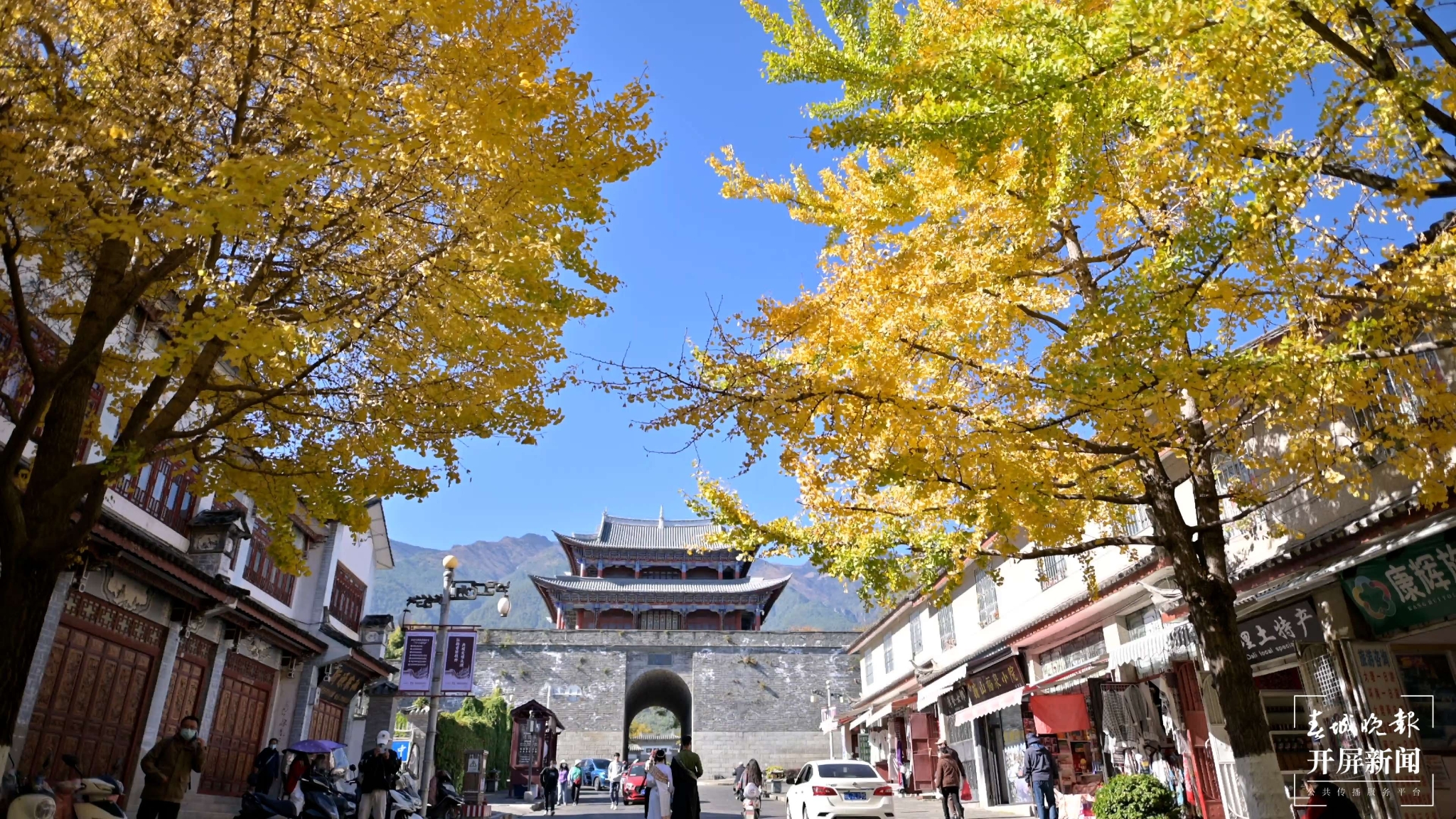 听说大理古城冬日的浪漫,一半被这条路包揽~ (5).jpg