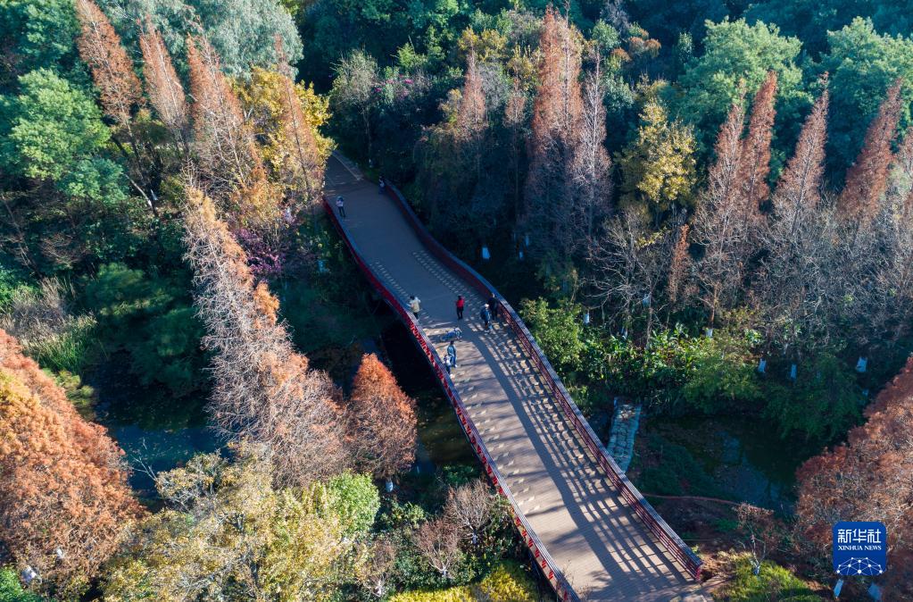 1310688596_16729658291331n