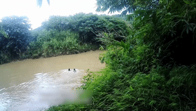 惊险追捕、护人护象，这是他们的戍边生活