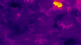 惊险追捕、护人护象，这是他们的戍边生活