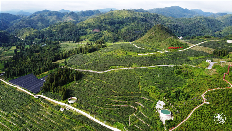 (供报纸)大美边疆·七彩云南|文山州“1(14652531)-20220811085431.JPG (供报纸)大美边疆·七彩云南|文山州“1(14652531)-20220811085431.jpg