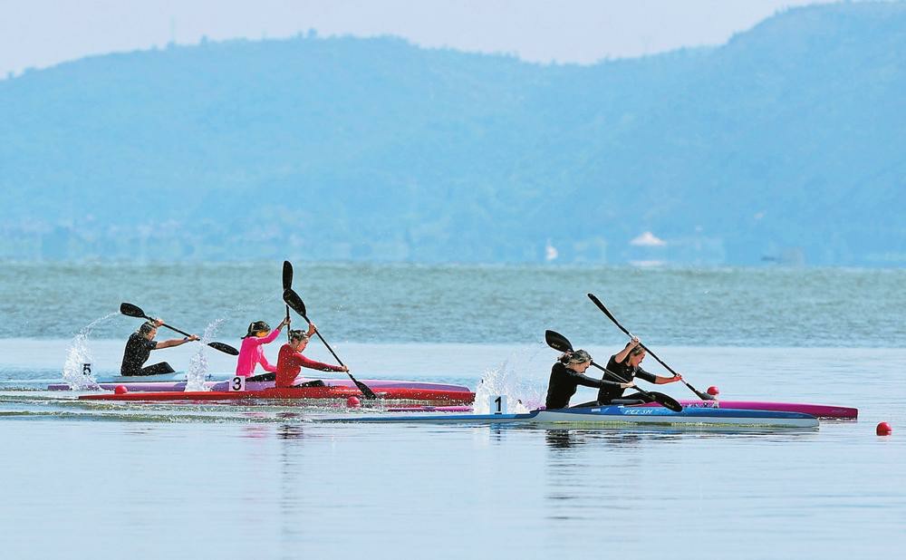 e347115d-4781-461a-b993-2d9e348a03da.jpg.jpg e347115d-4781-461a-b993-2d9e348a03da.jpg.jpg