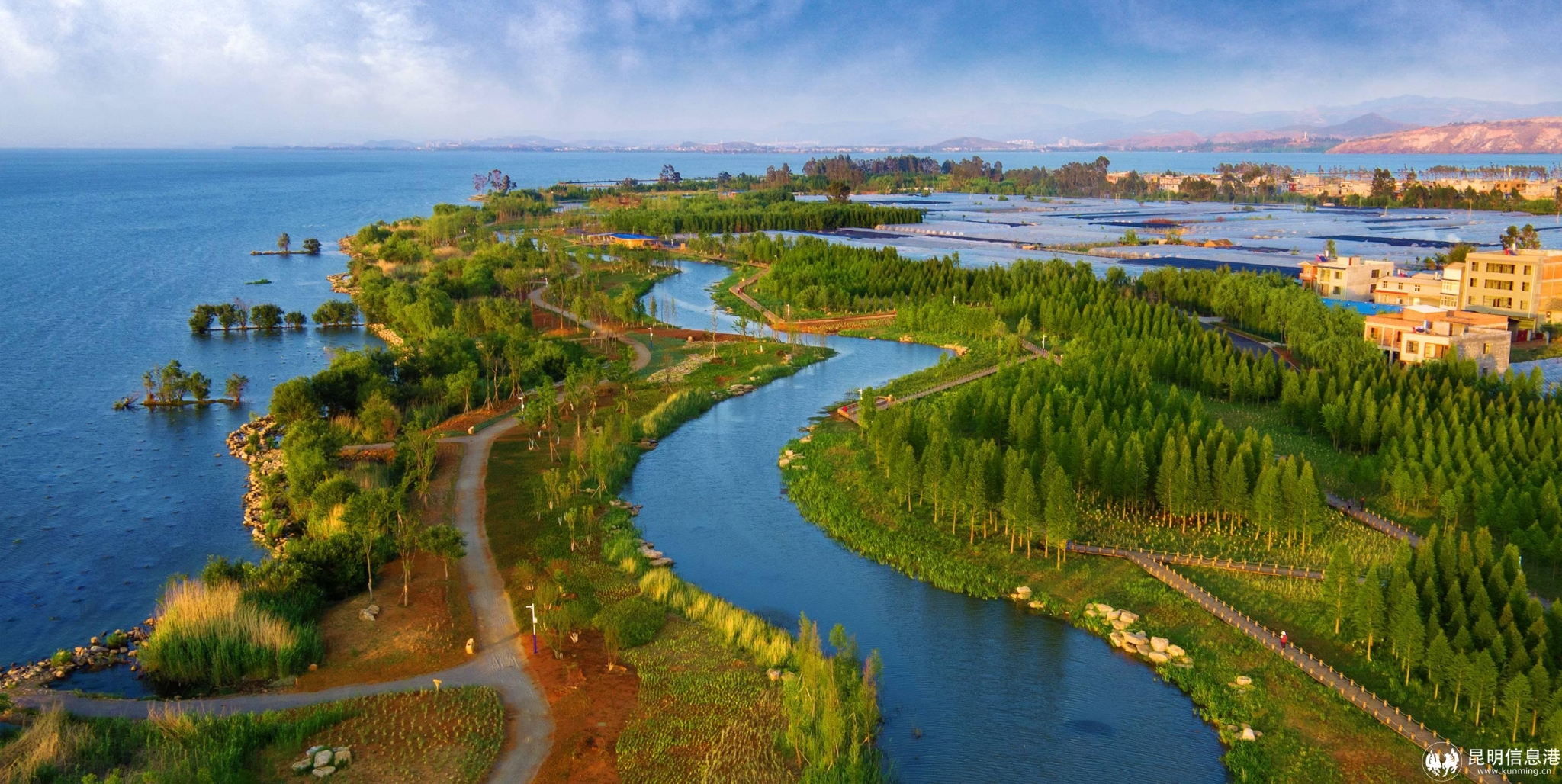 云南晋宁南滇池国家湿地公园(宋绍华)(1)