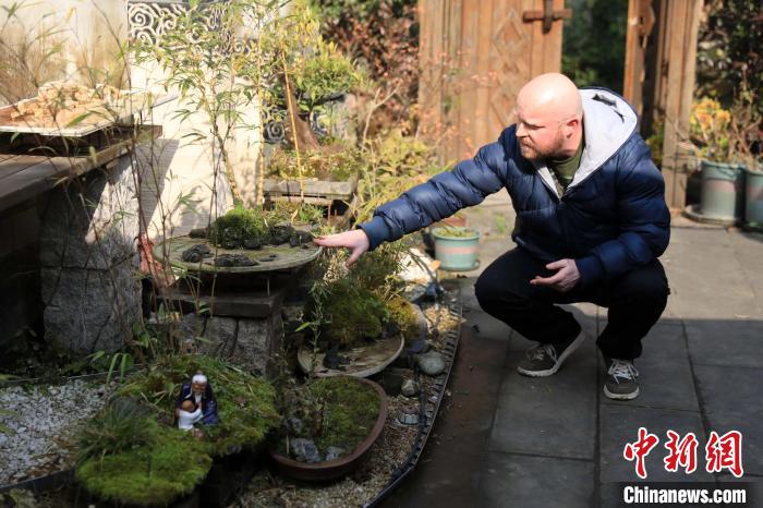 查德的小院摆满盆景。　王磊 摄