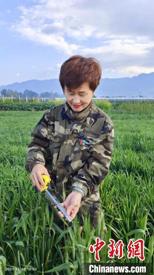 图为“南繁”的张春艳。 额尔古纳融媒体中心供图 图为“南繁”的张春艳。 额尔古纳融媒体中心供图