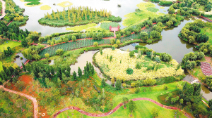 宝丰湿地公园景色优美。 记者赵伟摄