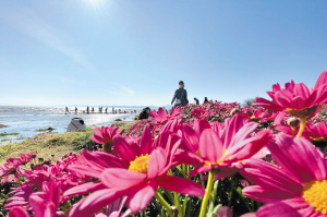 王官湿地公园美丽怡人。 记者赵伟摄