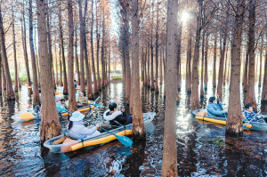 游客在海洪湿地公园里划船。 新华社