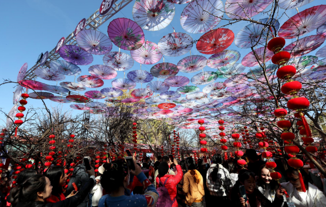 旅游 图源 云南日报