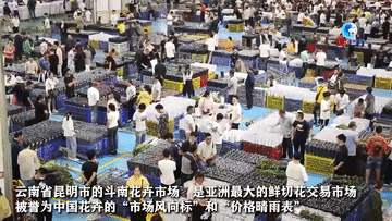 1129368037_16764591299151n 1129368037_16764591299151n