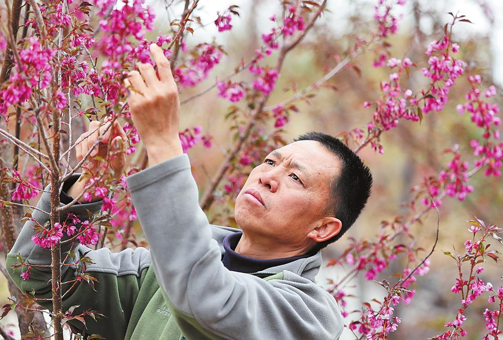 微信图片_202302181036281