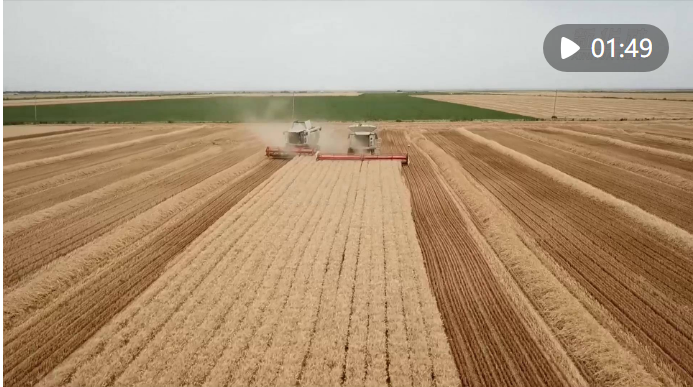 微信截图_20230218205609