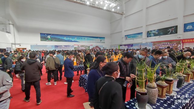 交易火爆!第十三届中国(大理)国际兰花茶花博览会开幕 春城晚报-开屏新闻记者 杨维琦 杨茜 摄影报道4.jpg
