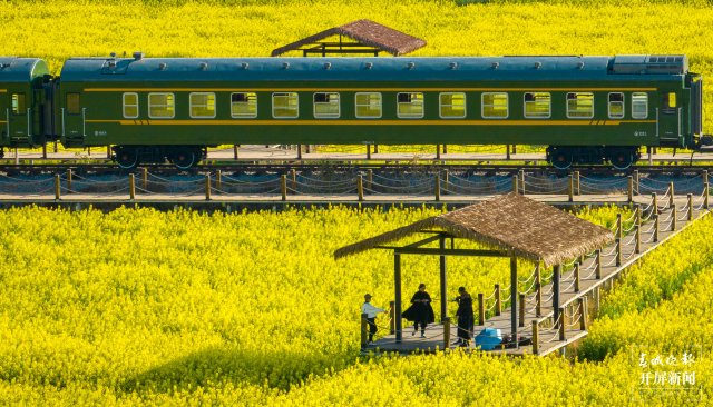 沙堤余家沟下村的油菜花海（宋光旭摄） (9).jpg