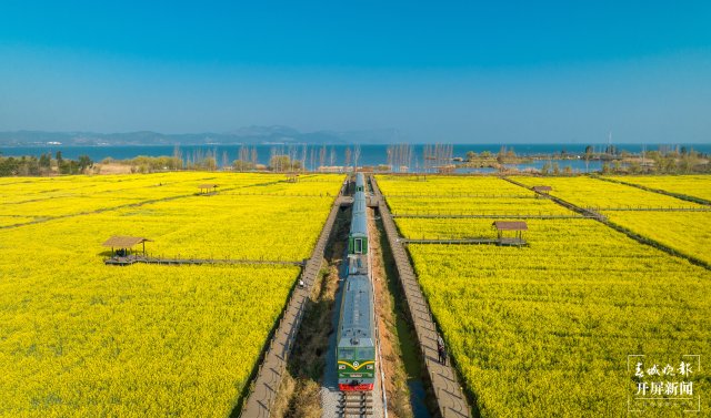 沙堤余家沟下村的油菜花海（宋光旭摄） (6).jpg