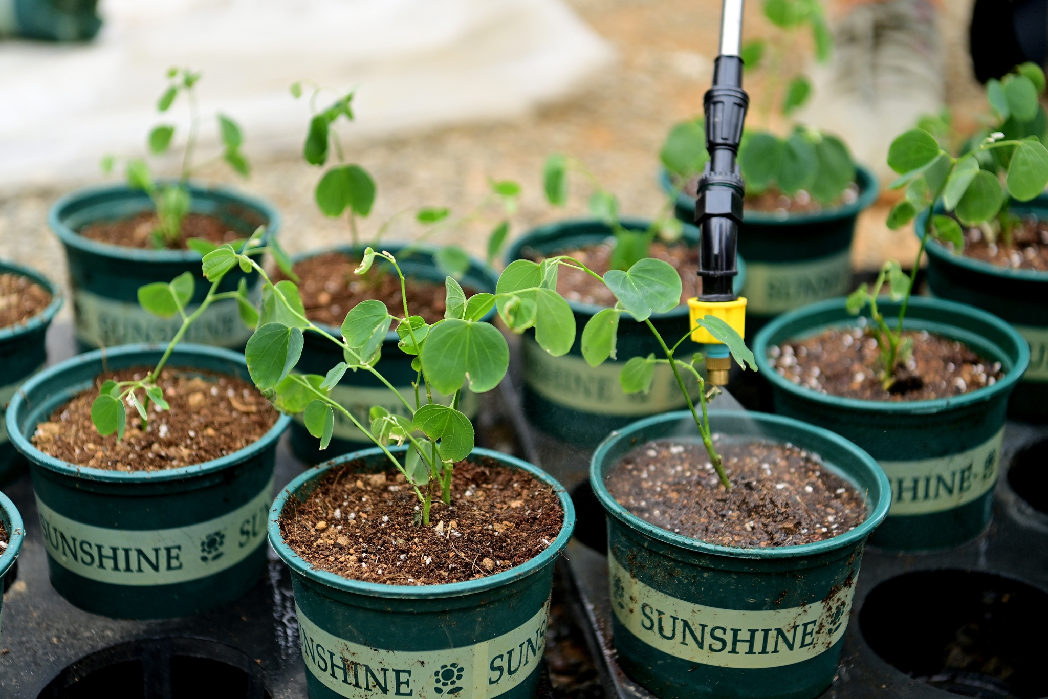 1677326653177475.jpg?x-oss-process=style/w10 67aa37cb352211e84ed02fddb55af2d.jpg?x-oss-process=style/w10