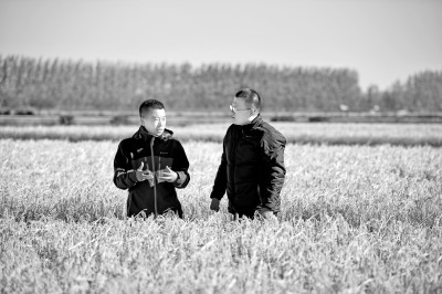 北大荒:打造“拴心留人”的农科人才高地 北大荒:打造“拴心留人”的农科人才高地