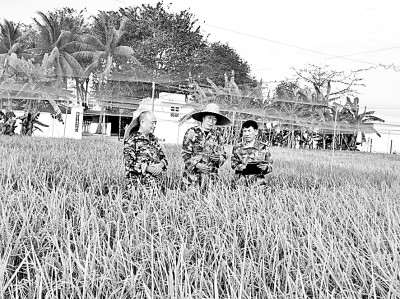 北大荒:打造“拴心留人”的农科人才高地 北大荒:打造“拴心留人”的农科人才高地