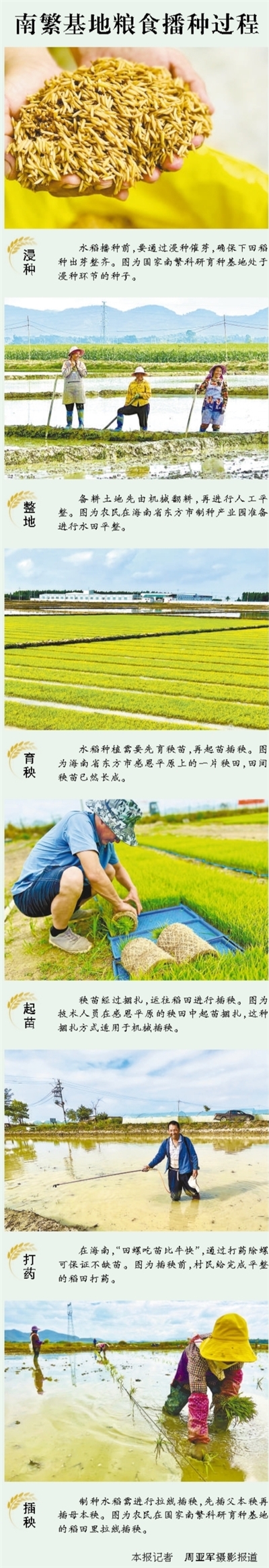 人勤春早田间忙（新时代画卷）