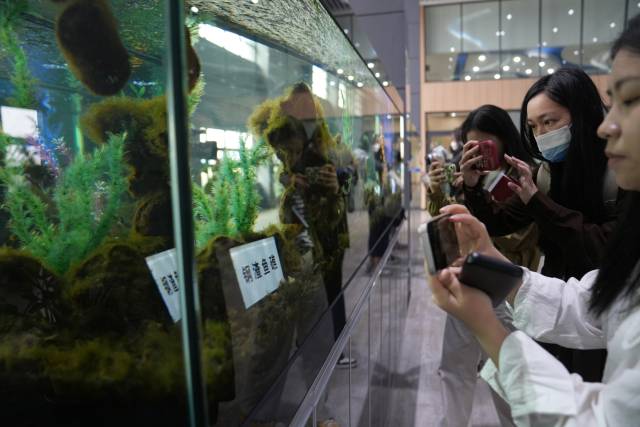 南方+ 姚志豪 拍摄