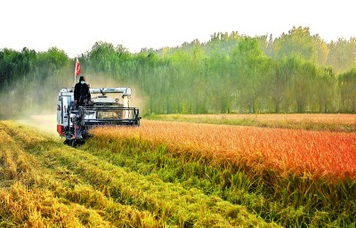千方百计守护好我国的“粮袋子” 千方百计守护好我国的“粮袋子”