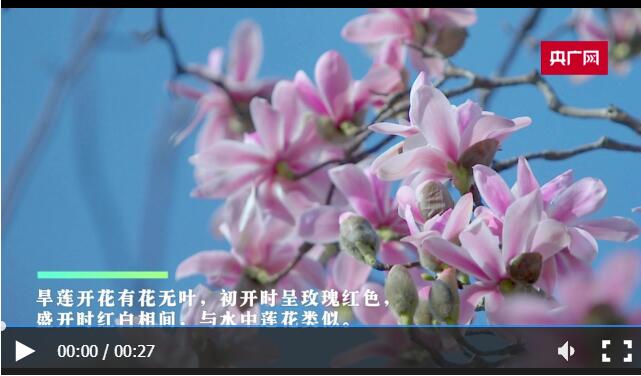 QQ截图20230309155136 QQ截图20230309155136