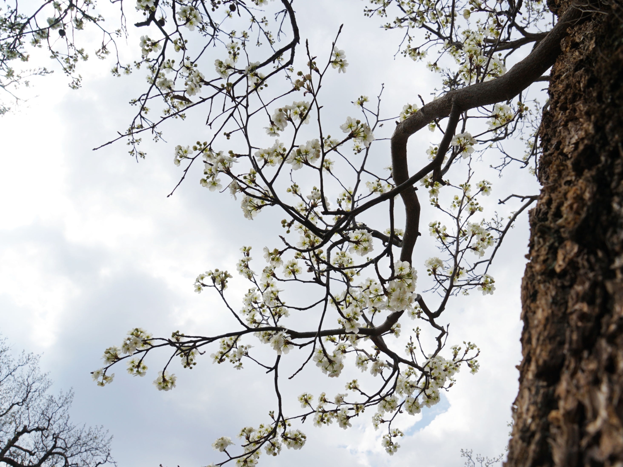 84bf0b6002f0c02a347dd0cc3e1b0bb8