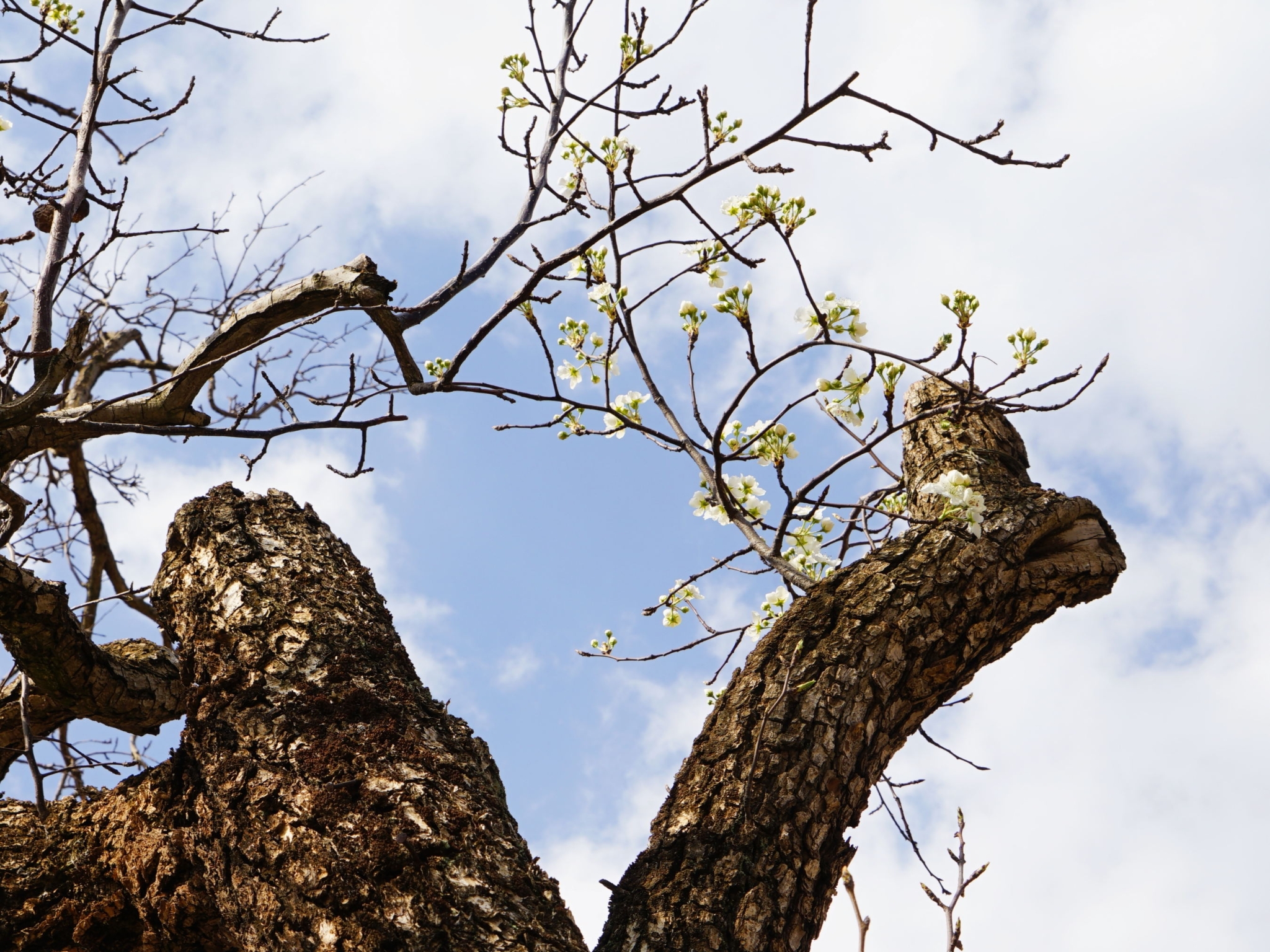 1dc56d43d8d9ef4c7f01407c9afa55aa