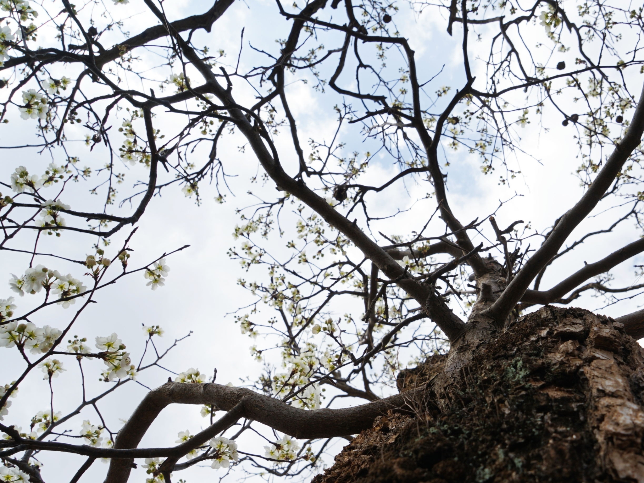 f02f2684a6d58a31ec6bebb2c3ec680c