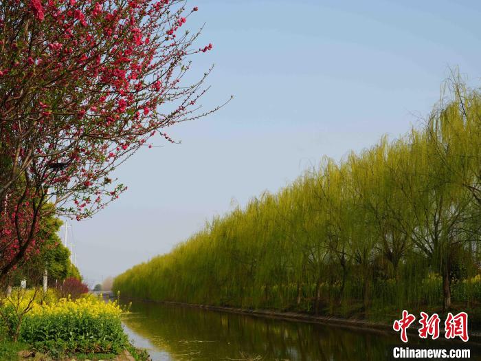 “沟渠经济”营造美丽的乡村环境。 徐钢 摄 “沟渠经济”营造美丽的乡村环境。 徐钢 摄