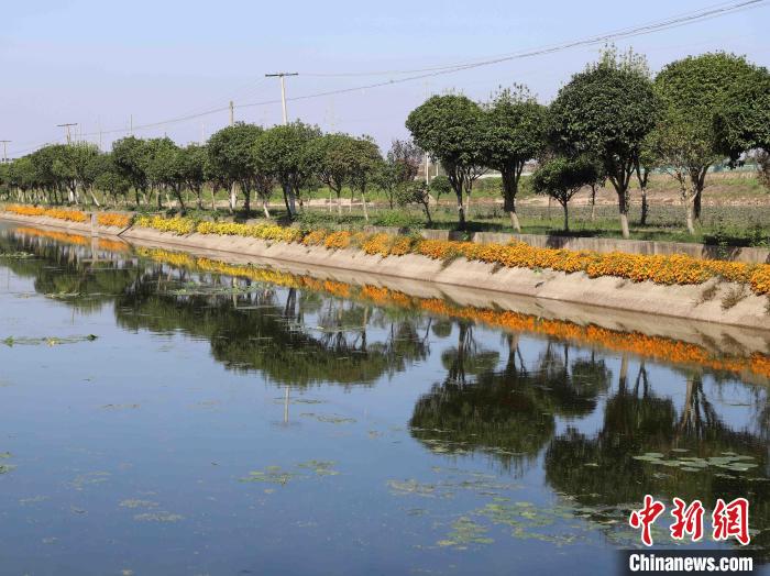 “沟渠经济”营造美丽的乡村环境。 徐钢 摄 “沟渠经济”营造美丽的乡村环境。 徐钢 摄