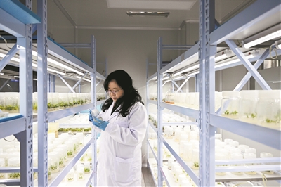 2828895_zhangjy_1678359363691_b 2828895_zhangjy_1678359363691_b