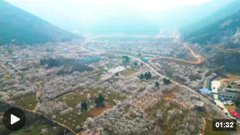 微信截图_20230311121239