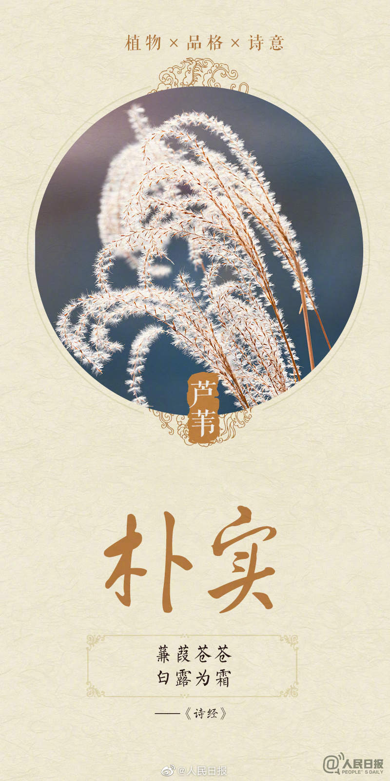 1678579561839216.jpg?x-oss-process=style/w10 0033ImPzly1hbwq4p1nu2j60m818g4dl02.jpg?x-oss-process=style/w10