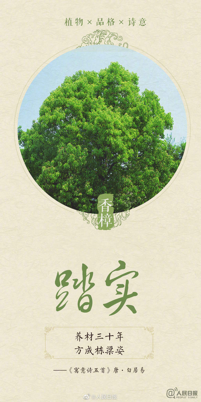 1678579572972525.jpg?x-oss-process=style/w10 0033ImPzly1hbwq4po4loj60m818gh4n02.jpg?x-oss-process=style/w10